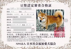 ��z��MS_��