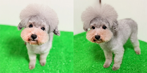 ��z��TP_�V���o�[