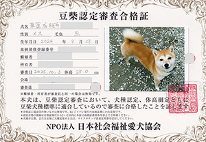 �ꌢ_����_��